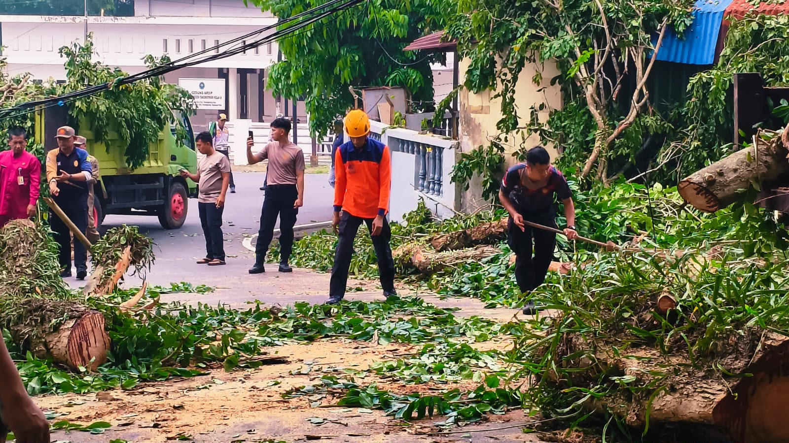 GERAK CEPAT TRC BPBD KEPRI TANGANI POHON TUMBANG YANG MENUTUP AKSES JALAN 